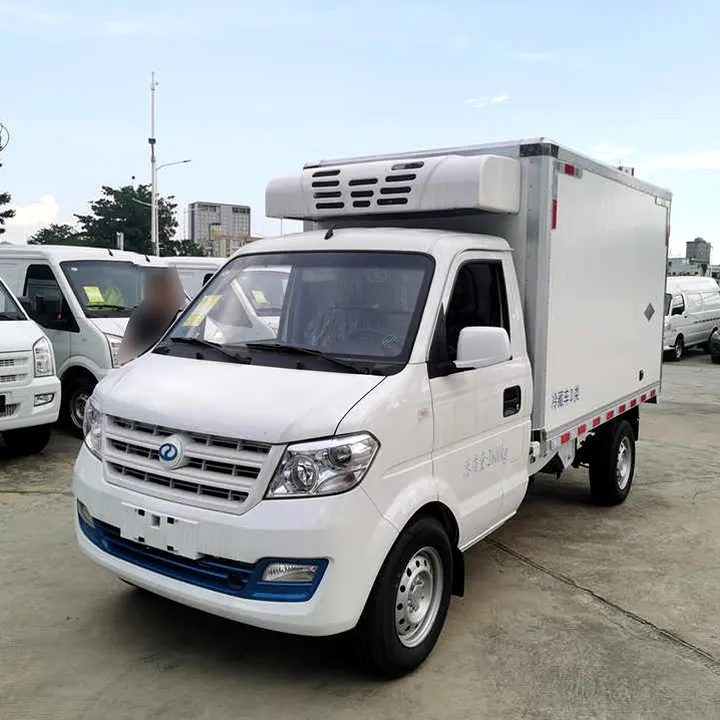 DFSK EC31 Small Freezer Truck